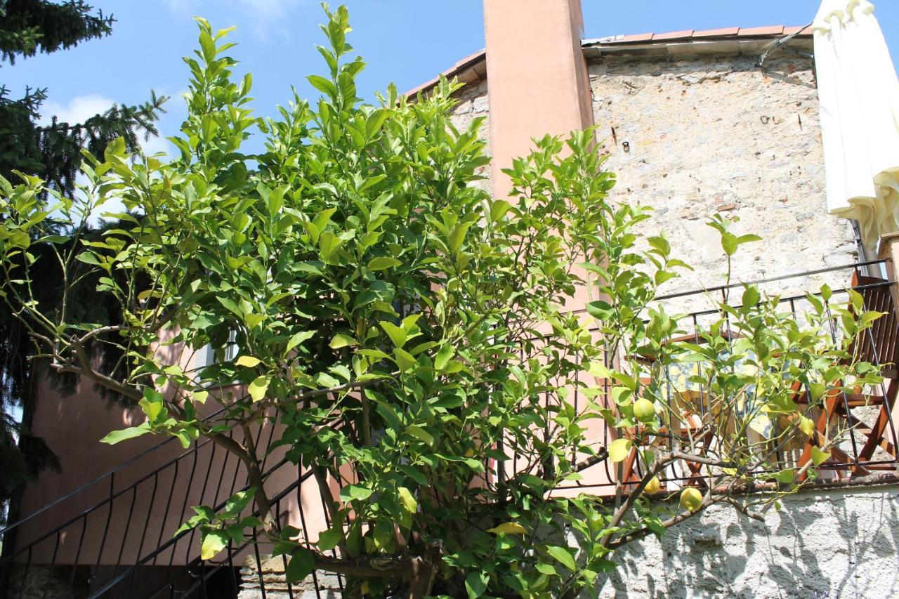Agriturismo Terrazza Sul Golfo - Il Casale La Spezia Eksteriør billede